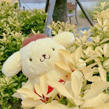 Mimi