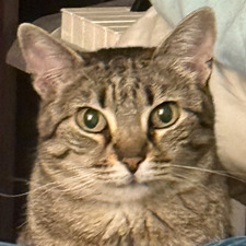 Marty