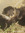 My_otter_life | 2 comments