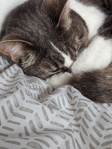 °˖✿˚⋆ Heather Gilmour ⋆˚✿˖°