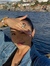 Tanya N...