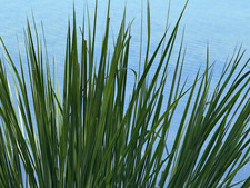 Jules 🦋🪼🐬🌸✌️