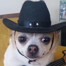gio