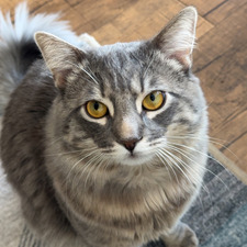Ed