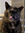 member photo member photo