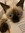 Hanin | 2 comments