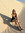 heather