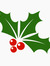 Holly