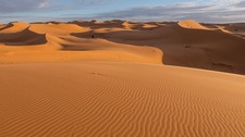 Sahara