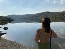Ayşegül