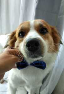 hungrybookworm.reads