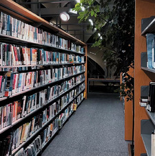 ما زلت  أحمد