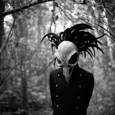 chaos.crow