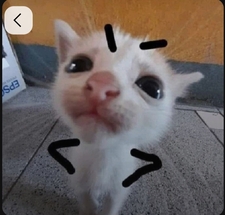 Toomuchradio Notenoughhead