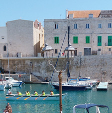Mattia Falco