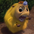 bri