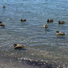 muz ☽༓･*˚⁺‧͙