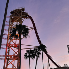 &#x1d4a9;&#x1d4b6;&#x1d4cb;&#x1d452;&#x1d452;&#x1d4c3;