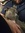 Emily Stidwill