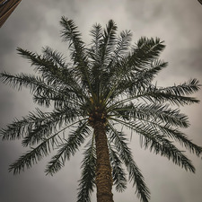 سـ