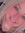 member photo member photo