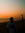 Martin Roy