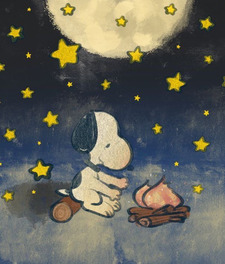 fraz *ੈ✩‧₊˚