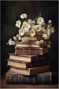 Reader