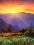 Dawn Dawn