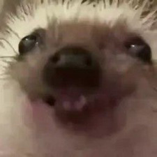 Alexandra Čevelová