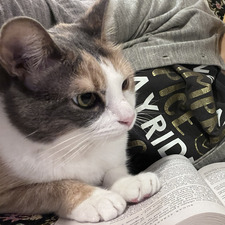 Sheyda Allahverdiyeva