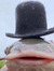 Dave