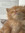 member photo member photo