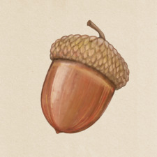 Jasu