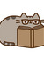 Pusheen...