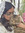 Fatima Ghori