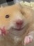 Jul ˙ᵕ˙