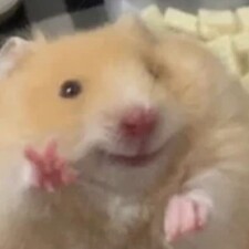 Jul ˙ᵕ˙