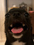 Koko