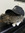 meowzers