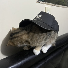 meowzers