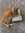 madeline_reads
