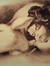allison