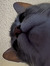 smutty ...