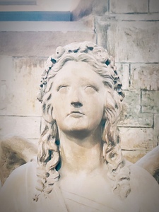 Evelisse ʕ⁠·⁠ᴥ⁠·⁠ʔ