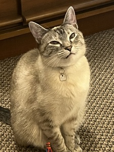 Jamie