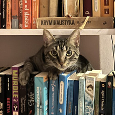 wiki