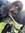 Emma Woodhouse | 3 comments