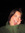 Jenna | 2 comments
