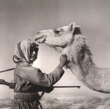 علي القبيسي